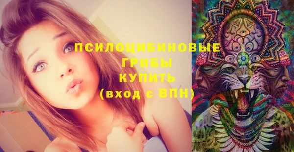 синтетический гашиш Снежинск