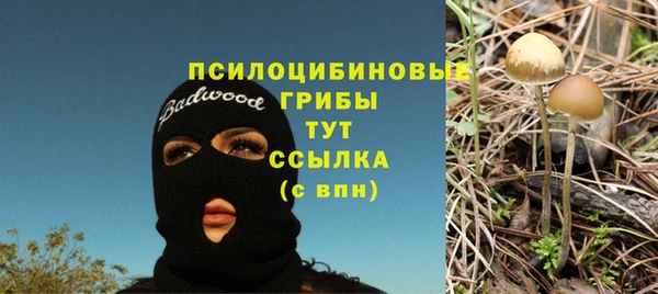 бошки Слюдянка