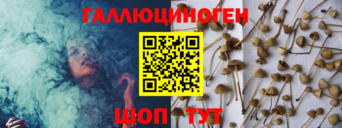 Галлюциногенные грибы ЛСД  хочу наркоту  Абинск  Вход с VPN 