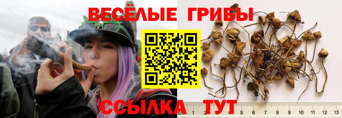 Псилоцибиновые грибы MAGIC MUSHROOMS  Абинск 